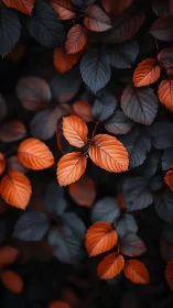 Ember leaves drift through midnight foliage in quiet glow.