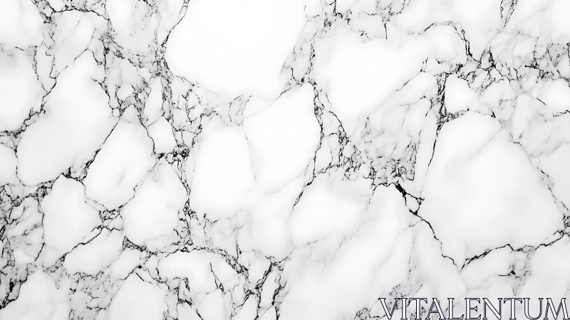 Soft white marble surface with graceful dark grey veining.
