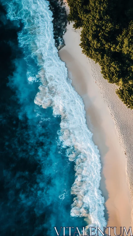 Vertical aerial view of shoreline, surf and coastal forest.