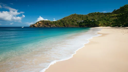 Tropical Paradise Beach with Turquoise Waters.