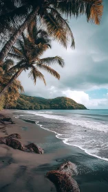 Tropical Paradise Beach with Towering Palms.