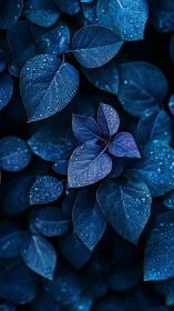 Midnight blue leaves with dew drops in tight macro frame.