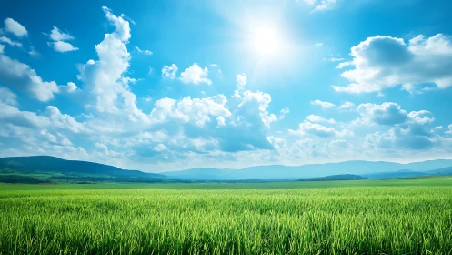 Sunlit green meadow under expansive blue clouded sky.