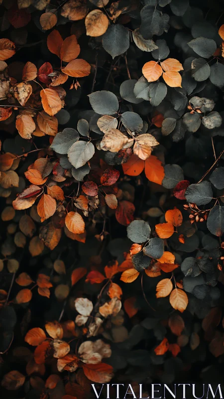 Macro study of autumn foliage with deep teal and rust hues