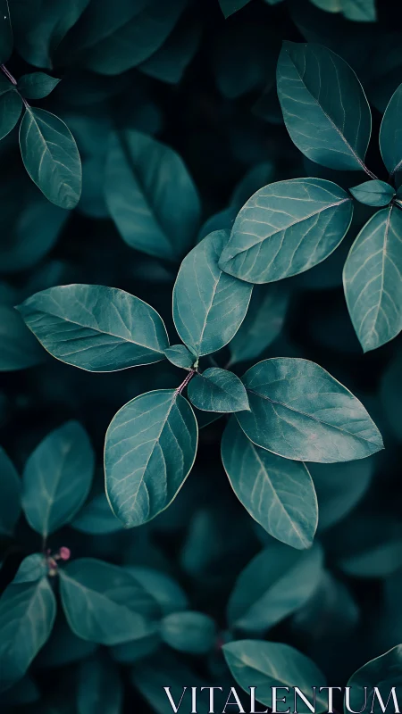 Midnight leaves quietly sketch constellations in teal