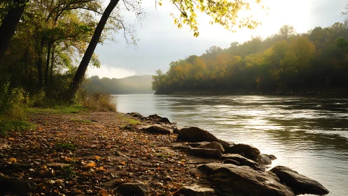 Calm riverbank in soft morning light with autumn trees.