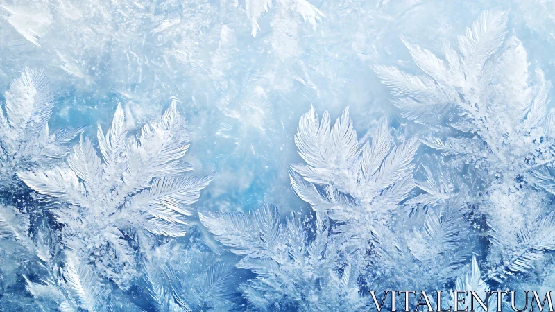 Frost fern crystals overlaying icy blue abstract field.