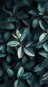 Soft teal foliage shimmers in moody, cinematic light.