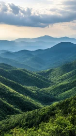 Layered forested mountain ridges under diffused evening sky
