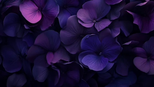 Purple Petals in Darkness: A Floral Symphony.