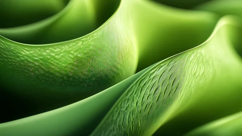 Macro green surface folds reveal fine microtextured organic detail