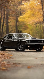 Black classic Dodge coupe parked on forest road in autumn.
