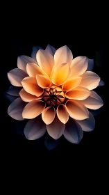 Golden Dahlia Blooming with Inner Light and Grace.