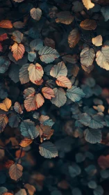 Moody autumn foliage in teal and amber low-key light.