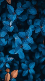 Cyan-toned foliage study isolates leaves with selective color