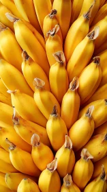 Golden bananas stack in a vivid, mouthwatering close up