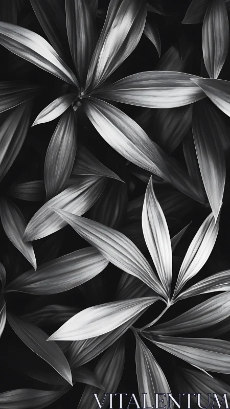 Monochrome leaves weave quiet geometry in sculpted light.