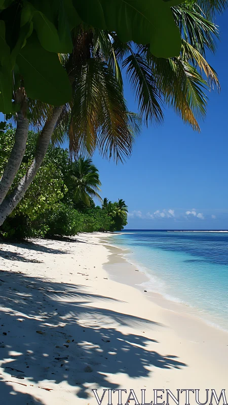 Tropical Beach Littoral Zone with Coconut Palms and Azure Lagoon Waters.