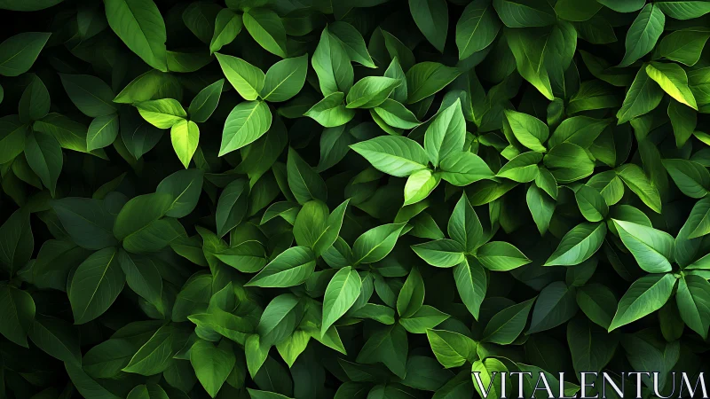 Dense green foliage rendered with high-contrast digital lighting