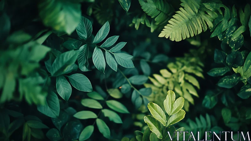 Lush layered foliage creates a tranquil emerald jungle scene