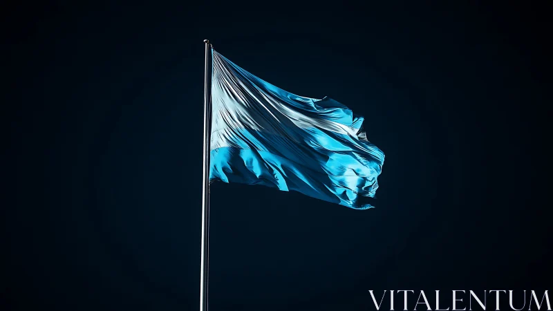 Bold blue flag ripples proudly against the deep night sky