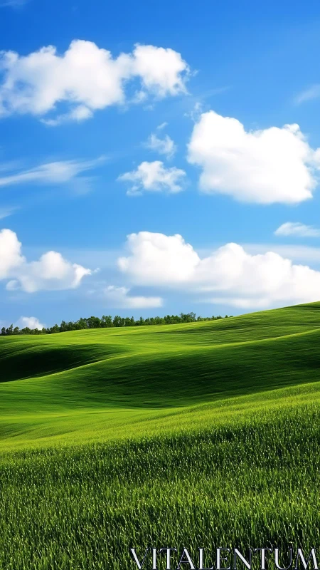 Sunlit green hills stretch under deep blue sky with clouds