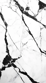 Monochrome marble fractures trace bold lightning paths.