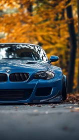 Blue BMW coupe parked low on forest road in autumn.