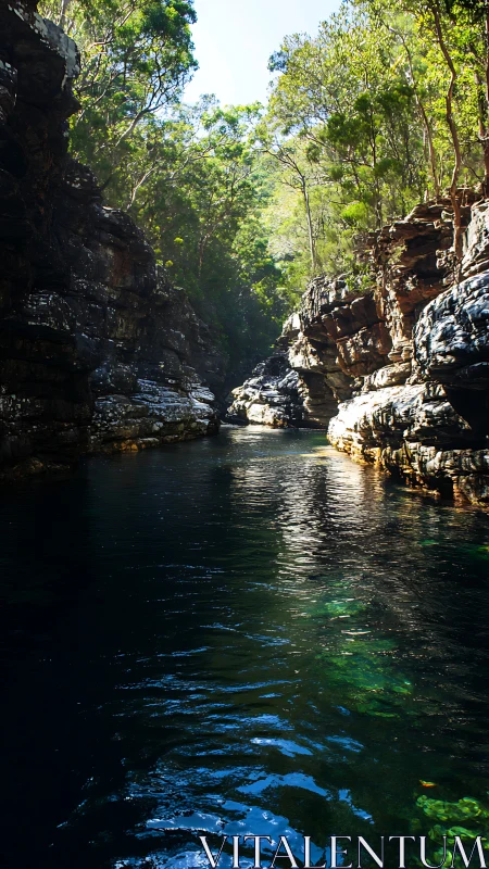Narrow rock gorge channels dark river with specular light reflections