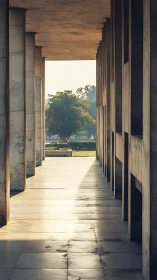 Sunlit marble colonnade framing distant urban foliage corridor.
