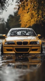 Golden BMW M3 stands low against reflective autumn street.