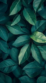Macro foliage array with cyan-green spectral toning study.