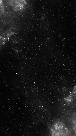 Dense starfield view with nebula clouds on black background.