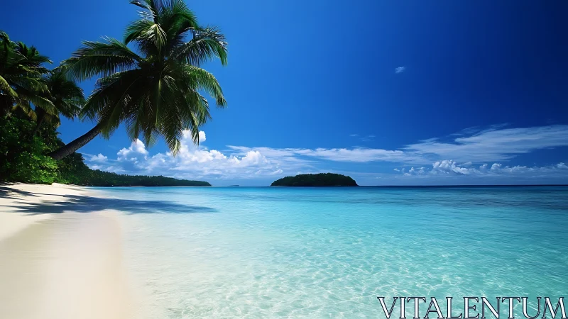 Tropical Paradise: Pristine Beach Embrace Under Infinite Blue Skies