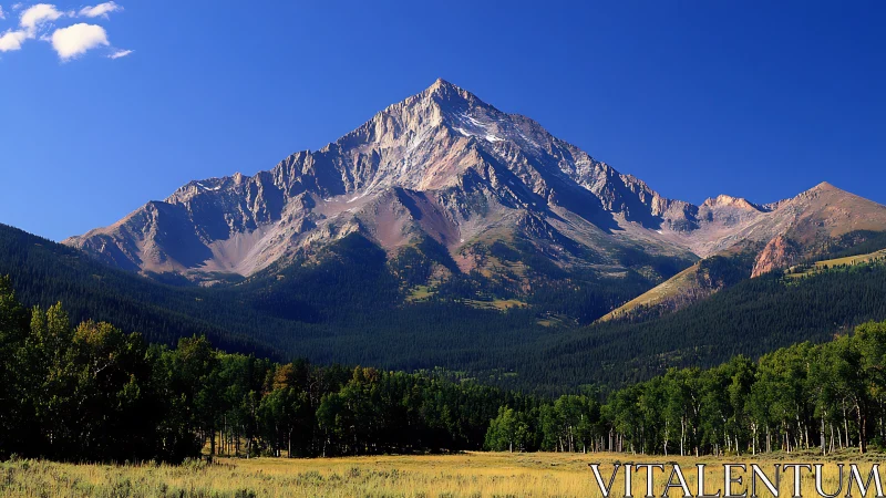 High-altitude stratified mountain massif over conifer valley
