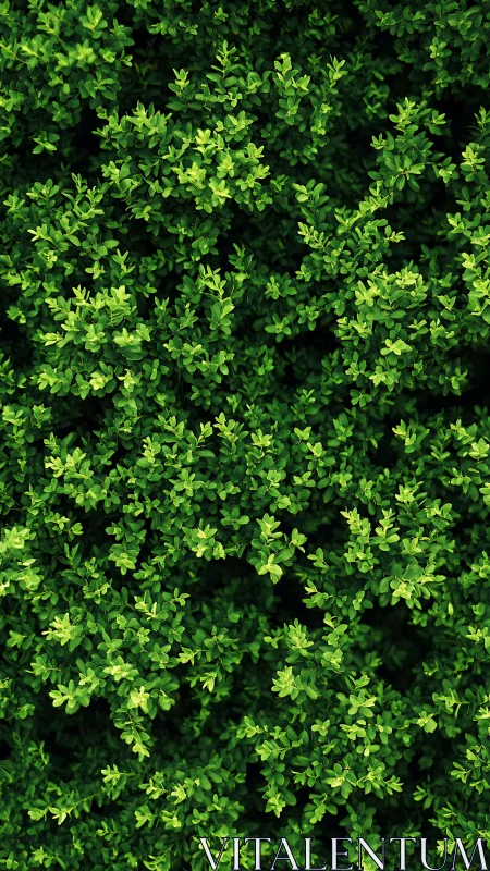 Dense green foliage fills vertical frame with vivid contrast