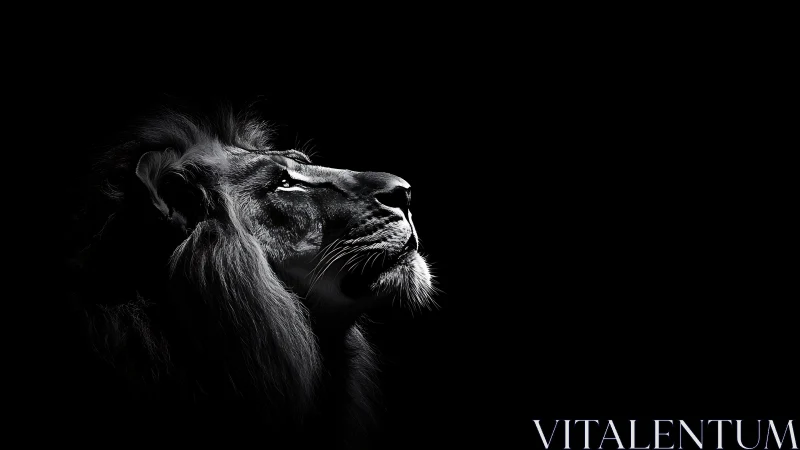 High-contrast monochrome lion profile in dramatic side light