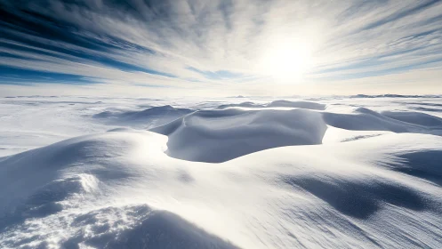 Soft winter sun drifts over quiet rolling snow dunes