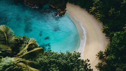Aerial perspective of tropical coastline with curved sand beach adjacent to turquoise water and dens
