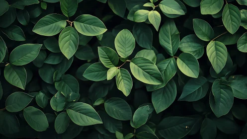 Leafy geometry hums softly in a layered forest canopy