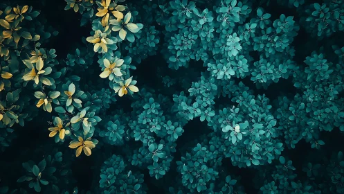 Aerial botanical composition with chromatic bifurcation.