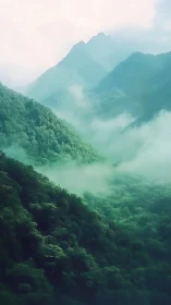 Mist-laden emerald mountains with layered forest canopy.