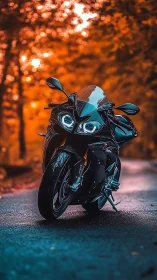 Superbike portrait on wet forest road with bokeh lighting