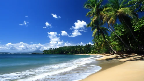 Tropical beach with palm trees, sand, and clear turquoise water.