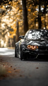 Lowered black BMW coupe parked on tree lined rural road