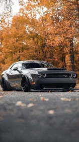 Lowered muscle car dominates an autumn forest road scene.