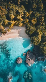 Tropical Paradise Cove Where Palms Dance Above Turquoise Waters