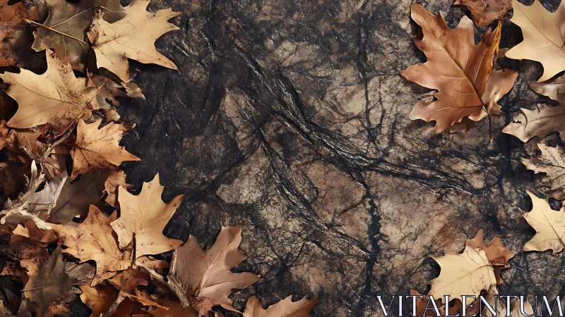 Dry autumn leaves frame a textured stone ground in calm stillness