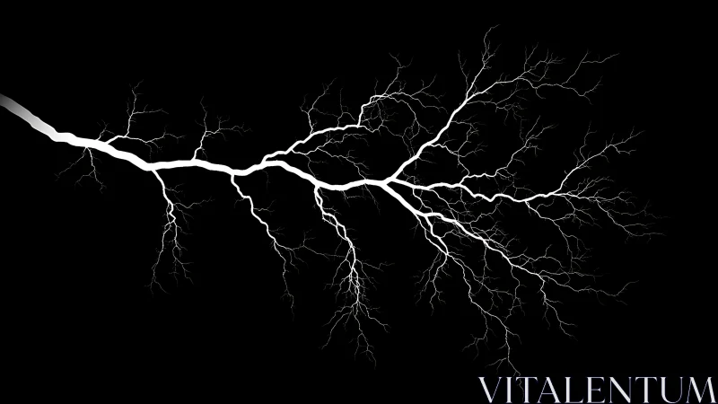 High contrast white lightning bolt branches across black