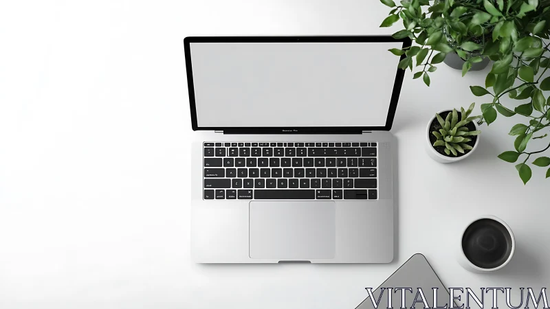 Top view of laptop on white desk with plants and coffee.